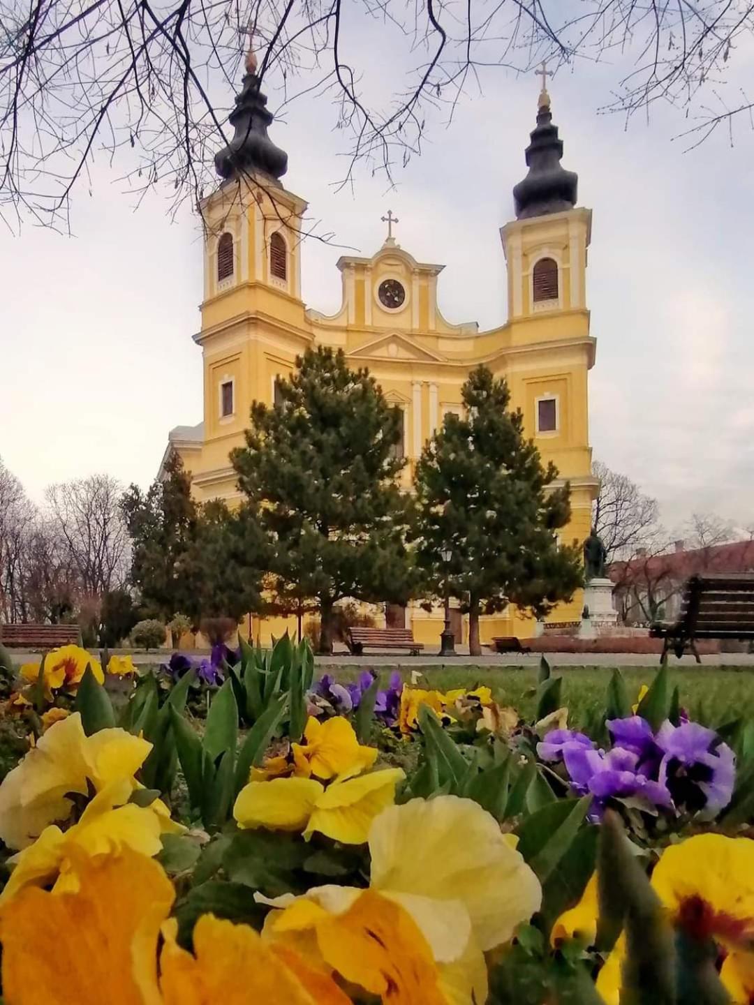 Alia Appartement Oradea Buitenkant foto